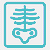 X-ray Services